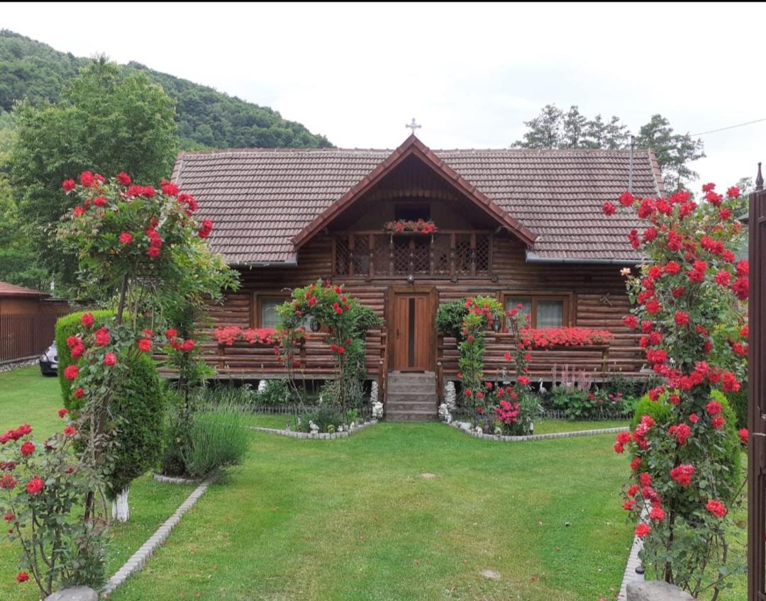 Casa Bunicii Ξενοδοχείο Costeşti Εξωτερικό φωτογραφία
